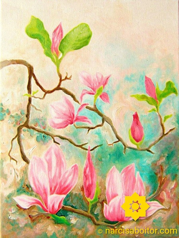 Magnolia Flowers