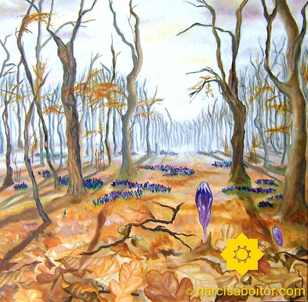 Crocuses in Oak Forest